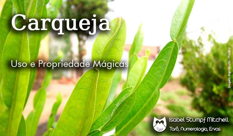 Fortalece o Sistema Imunológico - inspiração 2