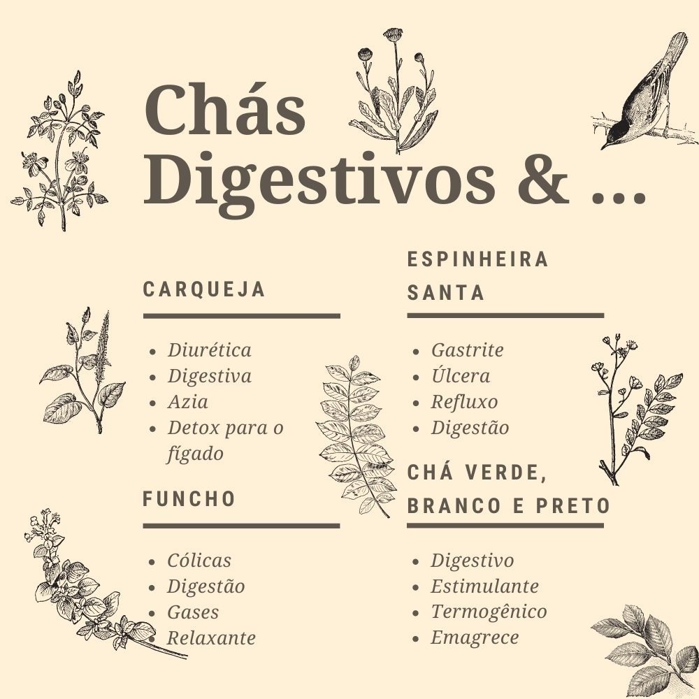 Promove a Perda de Peso Saudável - inspiração 1