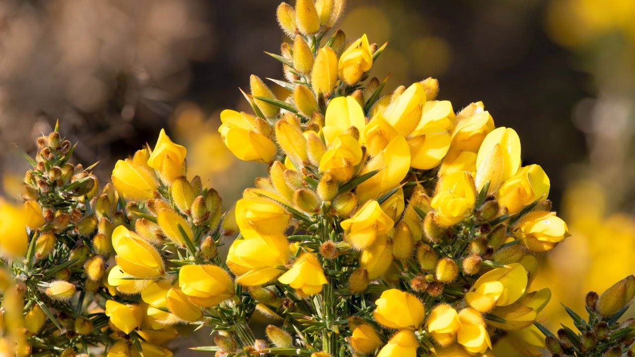 Pode Reduzir a Pressão Arterial - inspiração 2