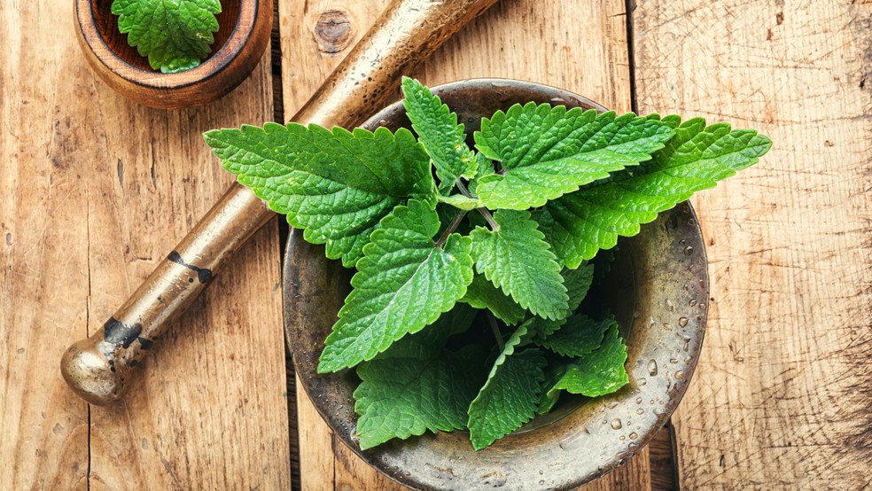 Ajuda a Controlar a Pressão Arterial com Suavidade - inspiração 1