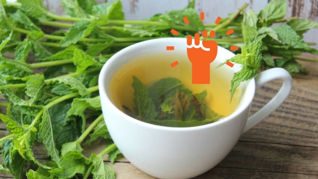 Hidratação com sabor e bem-estar - inspiração 2