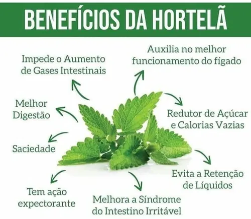 Melhora o foco e a sua concentração - inspiração 1