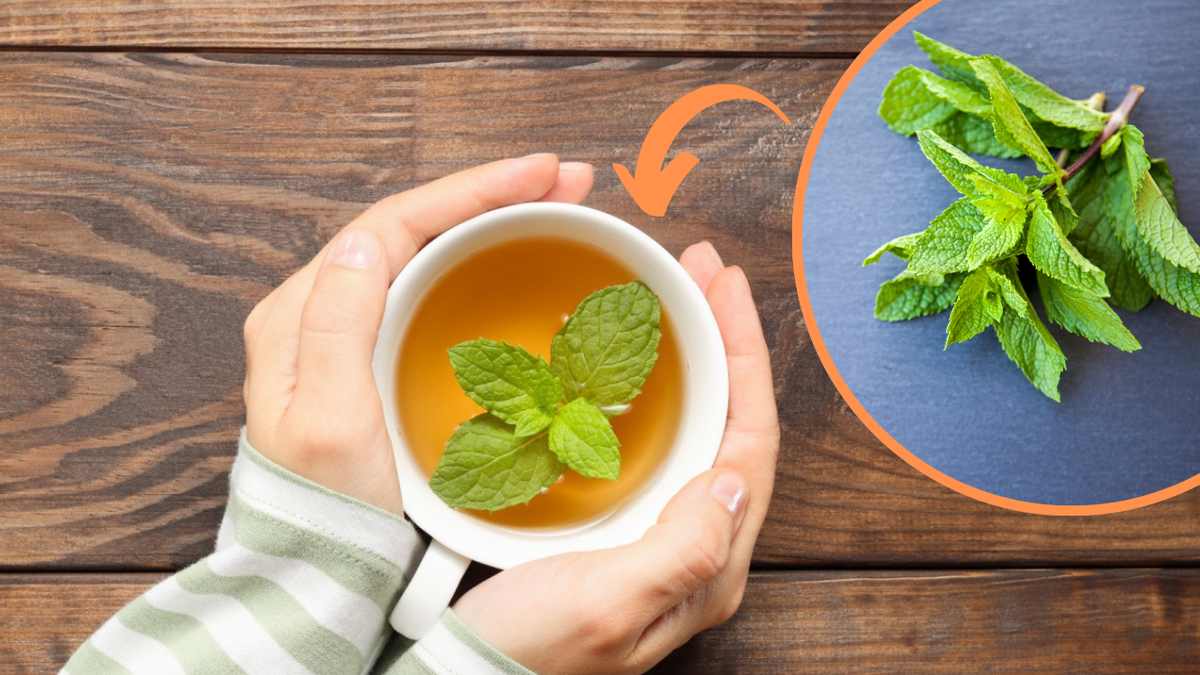 Ajuda a aliviar sintomas de resfriado e congestão - inspiração 1