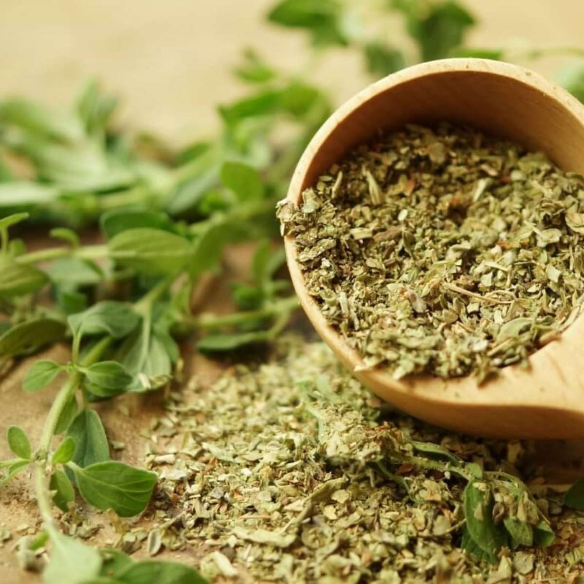 Poderoso antioxidante: protege suas células. - inspiração 1