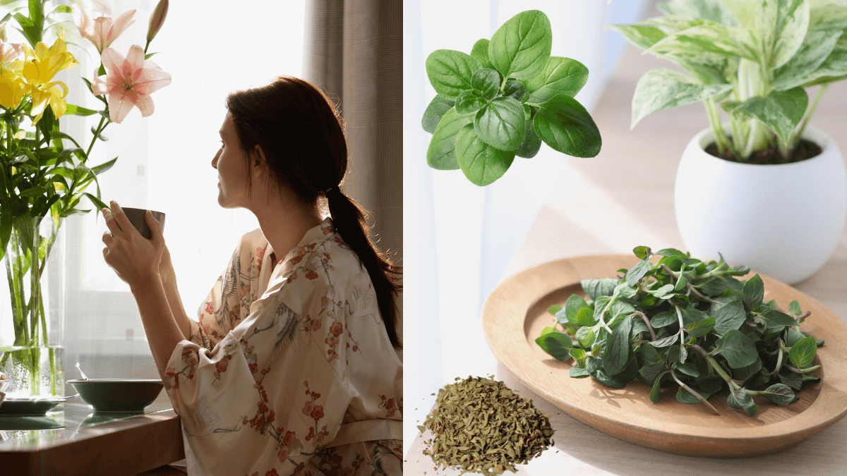 Melhora a digestão: adeus, desconfortos! - inspiração 1