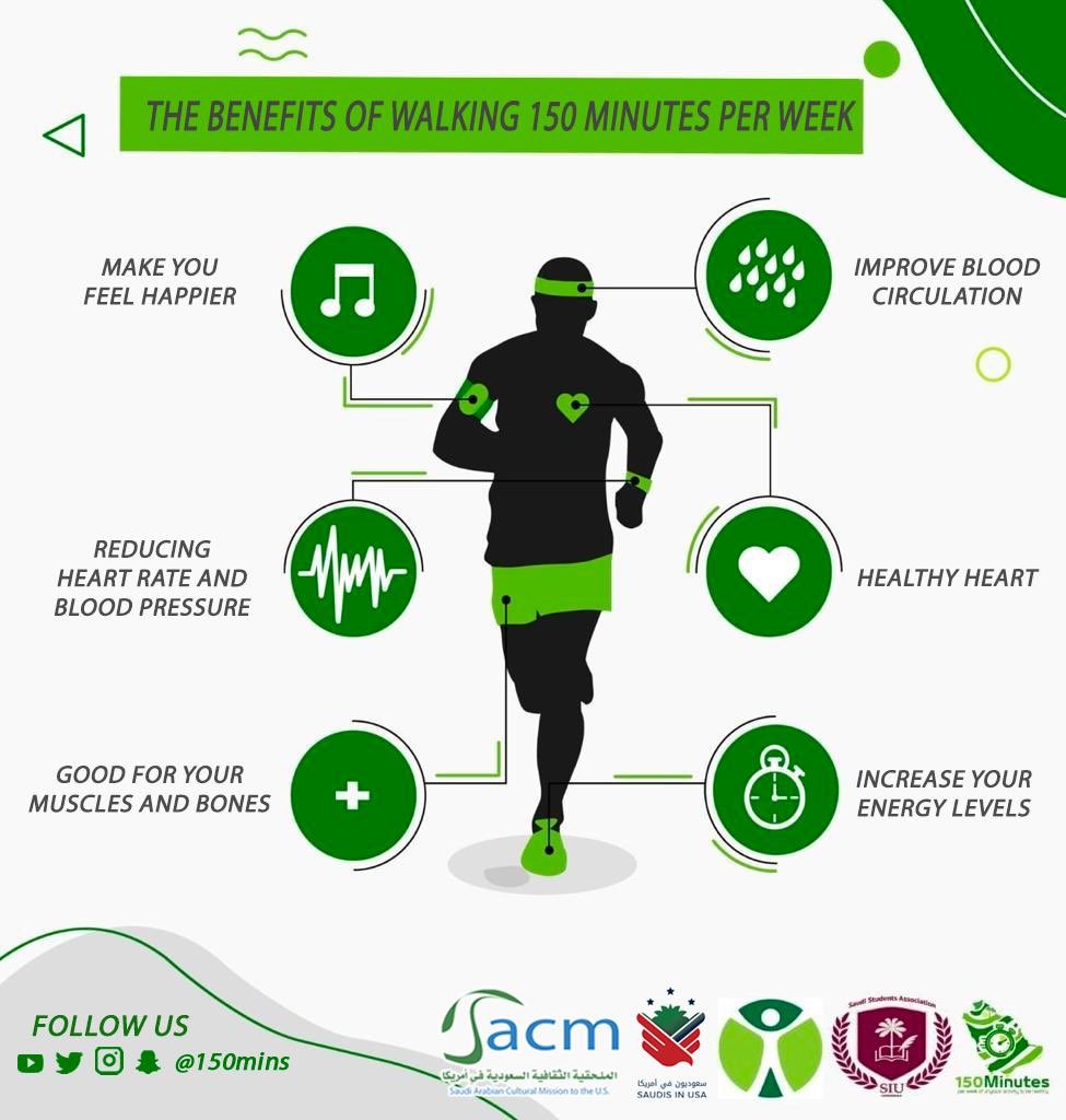 Benefício 6: Digestão Equilibrada e Confortável - inspiração 1