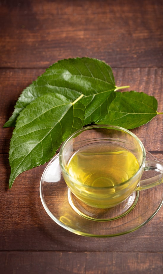 Aliado para o Emagrecimento Saudável - inspiração 2