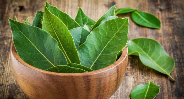 Saúde Cardiovascular: Coração Forte e Protegido - inspiração 2