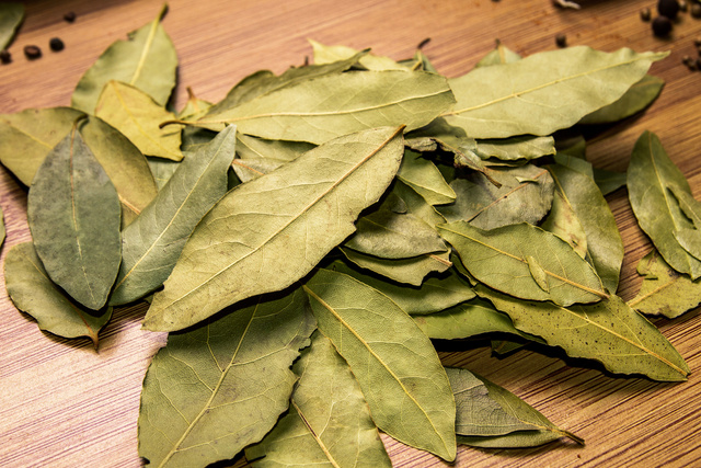 Saúde Renal: Proteção e Funcionalidade para Seus Rins - inspiração 1