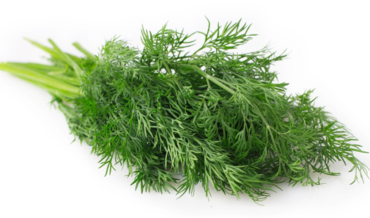 Alívio Digestivo: Diga Adeus ao Inchaço e Gases - inspiração 1