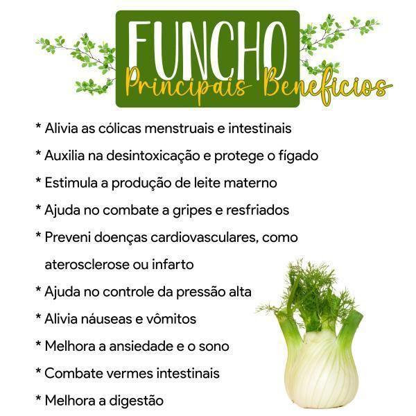 Ação Anti-inflamatória: Conforto e Bem-Estar Geral - inspiração 2