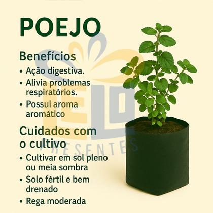 Ação Calmante para a Mente Agitada - inspiração 1