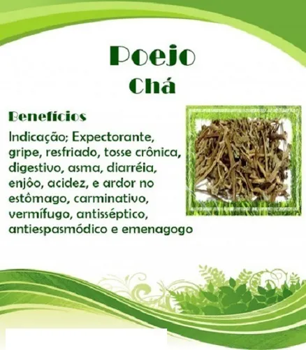 Suporte ao Ciclo Menstrual - inspiração 1