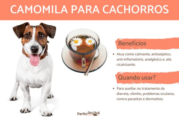 Olhos Cansados? Alívio e Bem-Estar Com Compressas de Camomila - inspiração 1