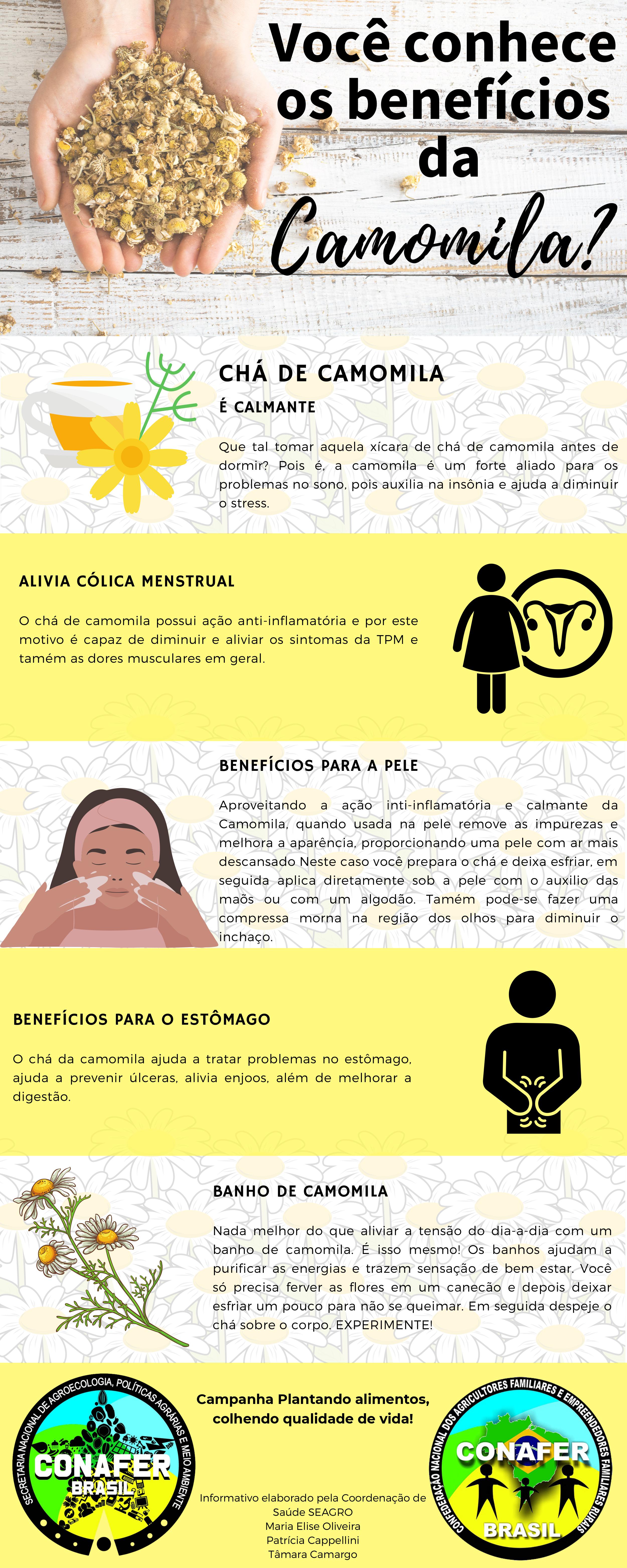 Controle do Açúcar: Um Pequeno Auxílio Para a Glicemia - inspiração 1