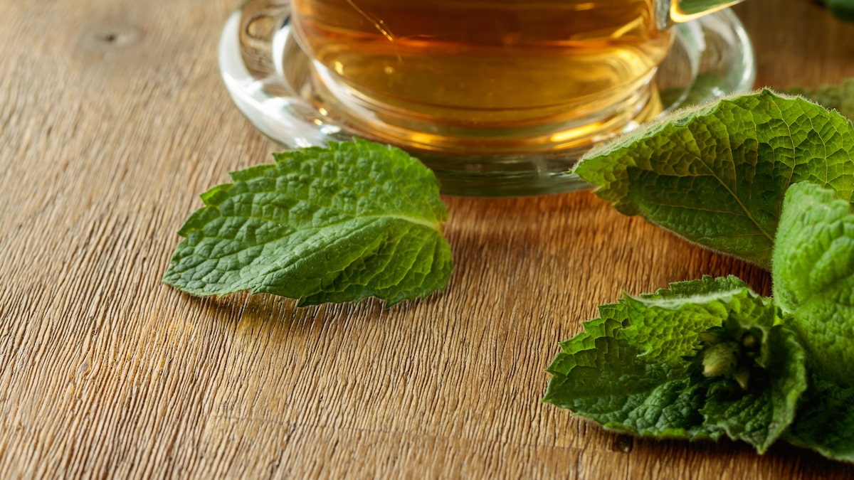 Sonos Mais Tranquilos e Reparadores - inspiração 2