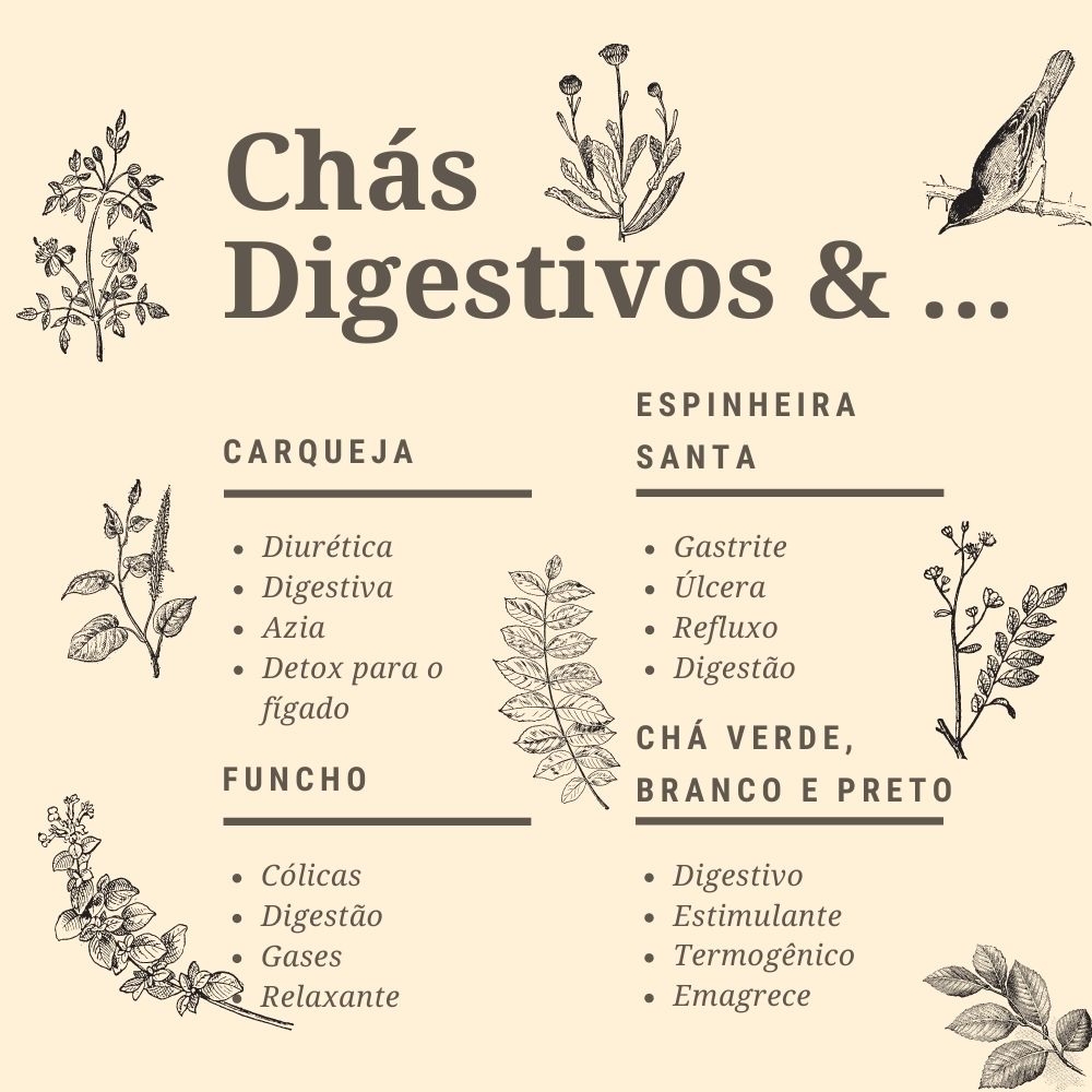 Fortalecimento Imunológico: Mais Resistência para Seu Corpo - inspiração 1