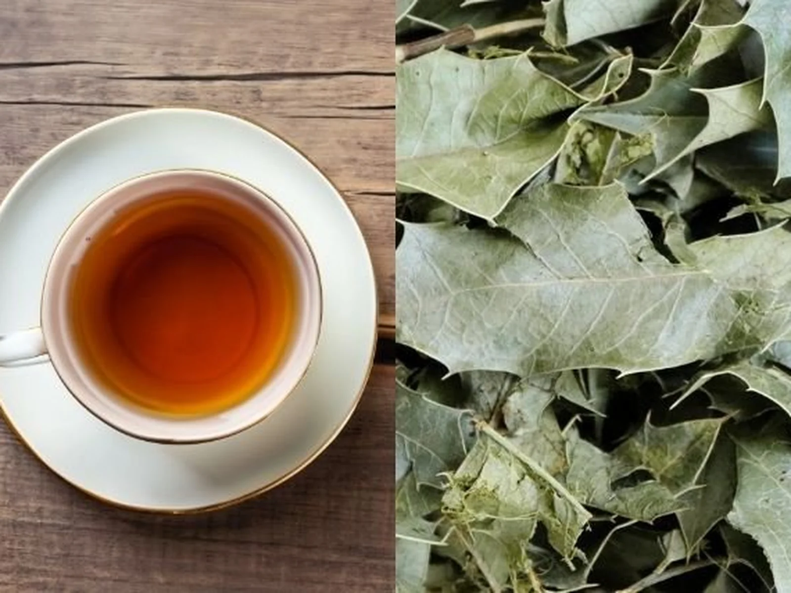 Digestão Feliz: Melhore o Funcionamento Intestinal - inspiração 2