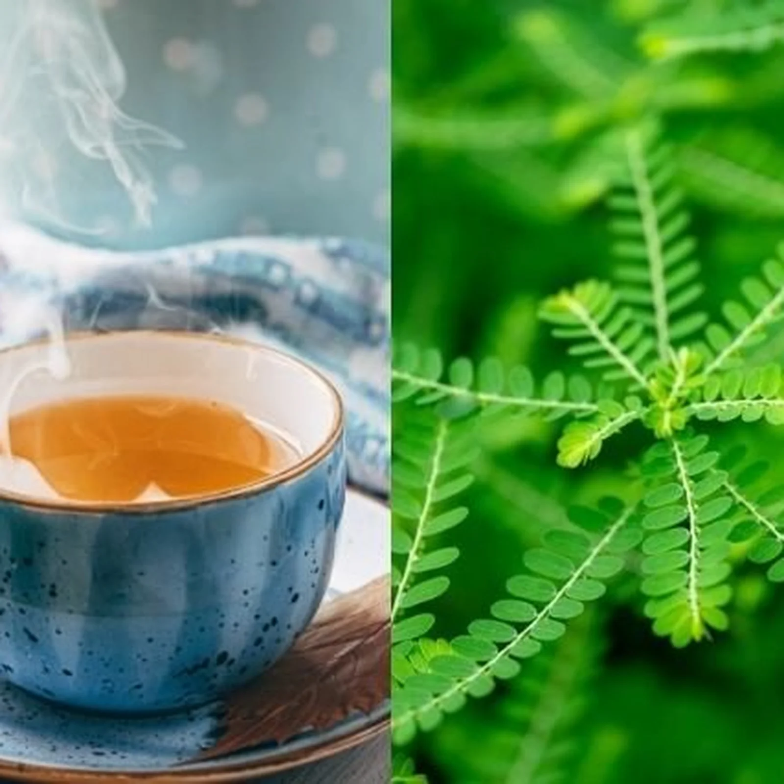 Suporte para a Saúde Urinária: Um Efeito Diurético Suave - inspiração 1