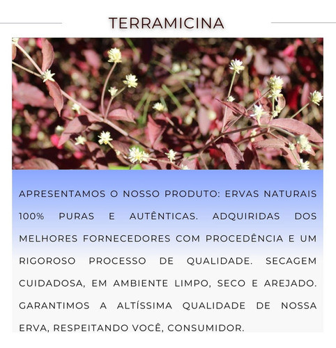 Contribuição para a Digestão e Conforto Intestinal - inspiração 2