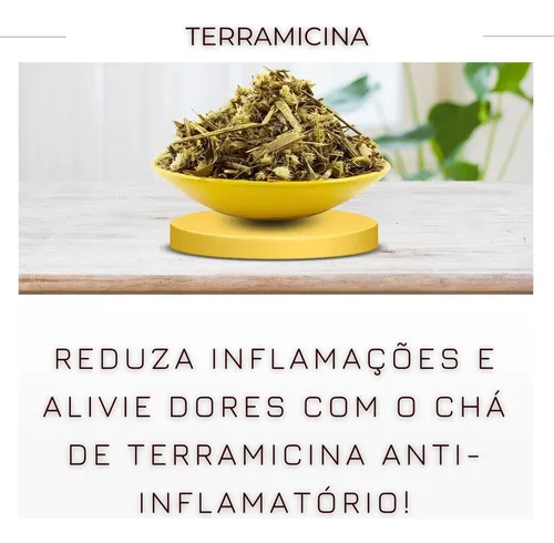 Estímulo ao Sistema Imunológico Natural - inspiração 2