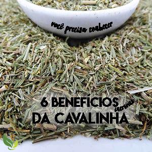 Combate à Inflamação: O Poder Antisséptico e Anti-inflamatório - inspiração 1