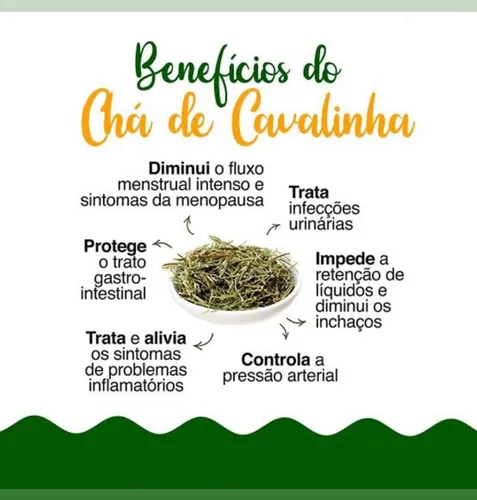 Saúde Óssea Reforçada: Silício para Fortalecer seus Ossos - inspiração 1