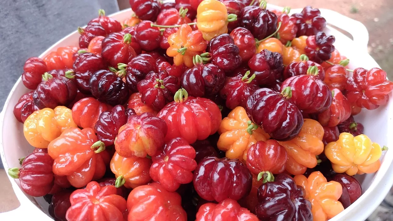 Digestão Leve e Eficaz: Adeus, Desconfortos! - inspiração 2