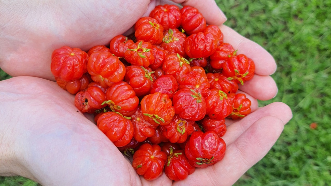 Pele Radiante: O Segredo Que Vem de Dentro - inspiração 1