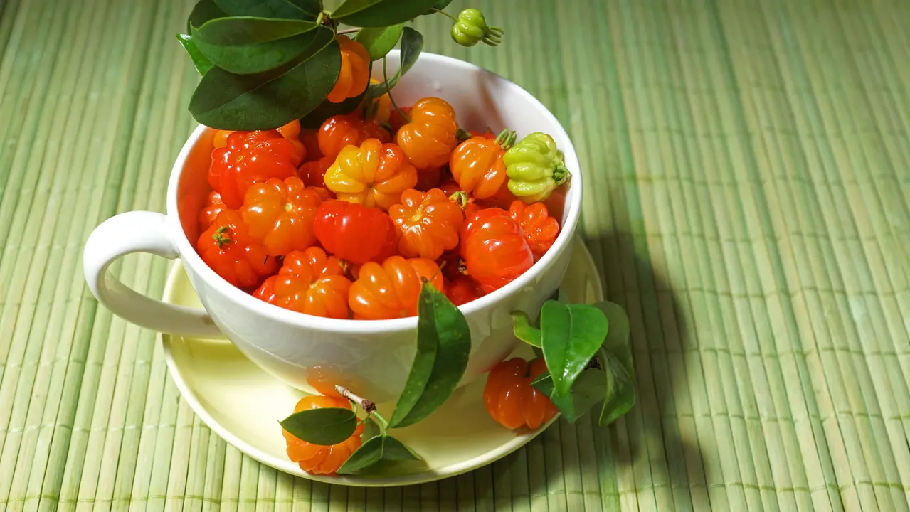 Pele Radiante: O Segredo Que Vem de Dentro - inspiração 2