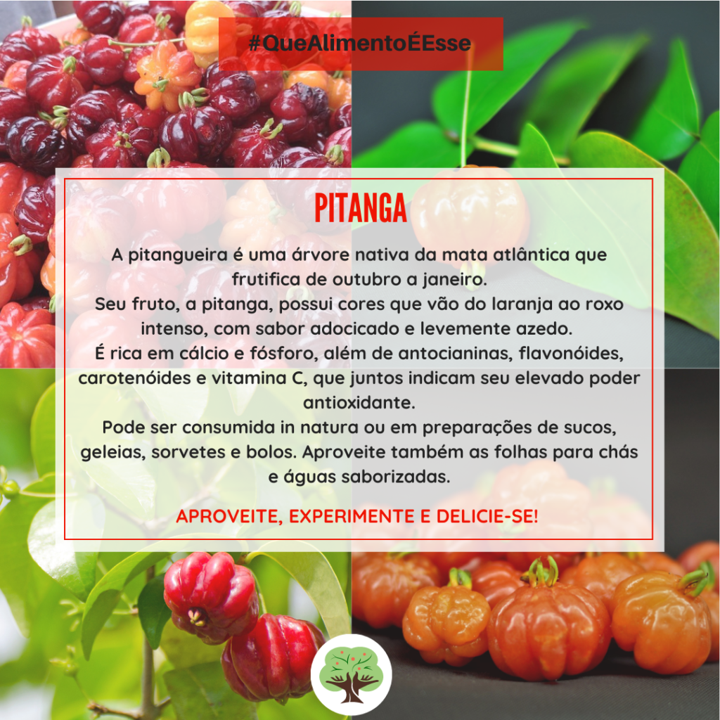 Ação Antioxidante Poderosa: Combate aos Radicais Livres - inspiração 2