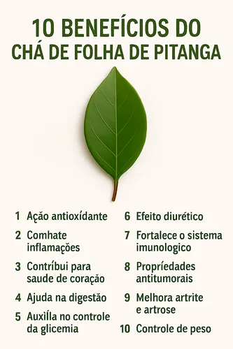 Saúde do Coração: Um Cuidado Essencial - inspiração 1