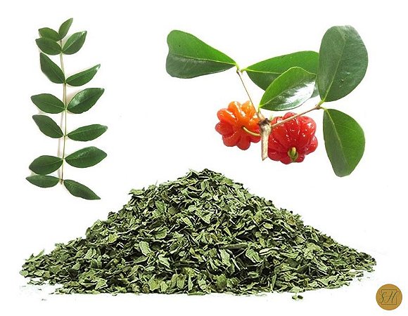 Hidratação e Refrescância: Um Prazer Saudável - inspiração 2