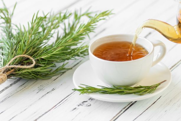 Propriedades Anti-inflamatórias: Seu Aliado Contra Dores - inspiração 1