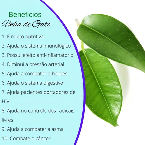 Expectativas Realistas: O Que Esperar e Quando Ver os Resultados - inspiração 1