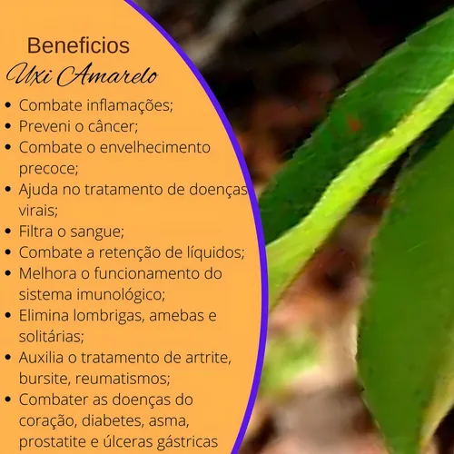 Cuidado Essencial: Atenção a Contraindicações e Interações - inspiração 2