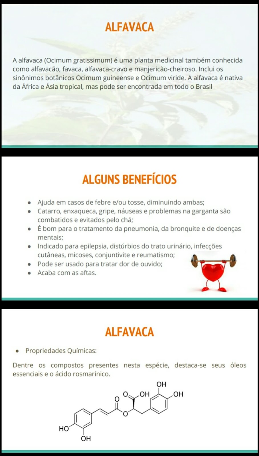 Pele Radiante: Benefícios Visíveis para a Pele - inspiração 2