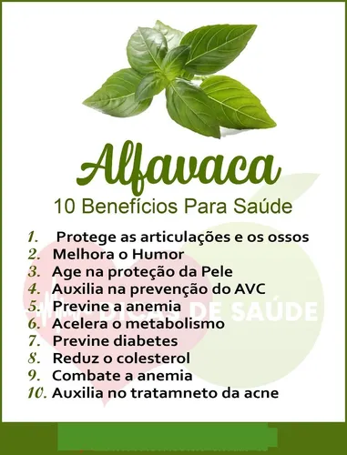 Propriedades Antioxidantes: Proteção Celular Essencial - inspiração 1