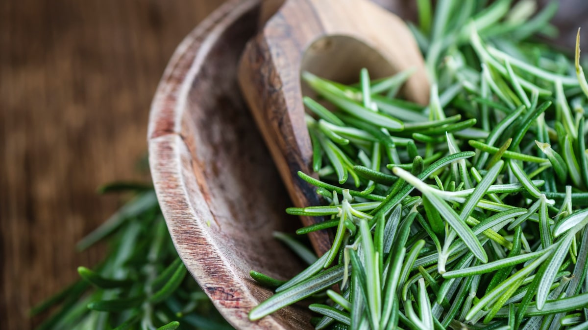 Estímulo ao Crescimento Capilar: Cabelos Fortes e Longos - inspiração 2