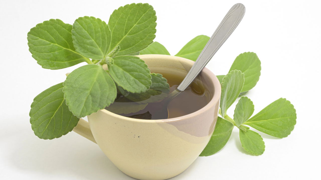 Ação Desintoxicante para o Fígado - inspiração 1