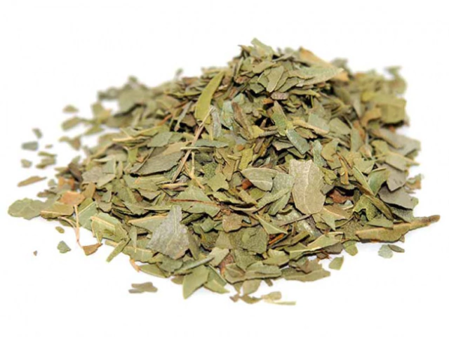 Suporte ao Sistema Digestivo no Geral - inspiração 2