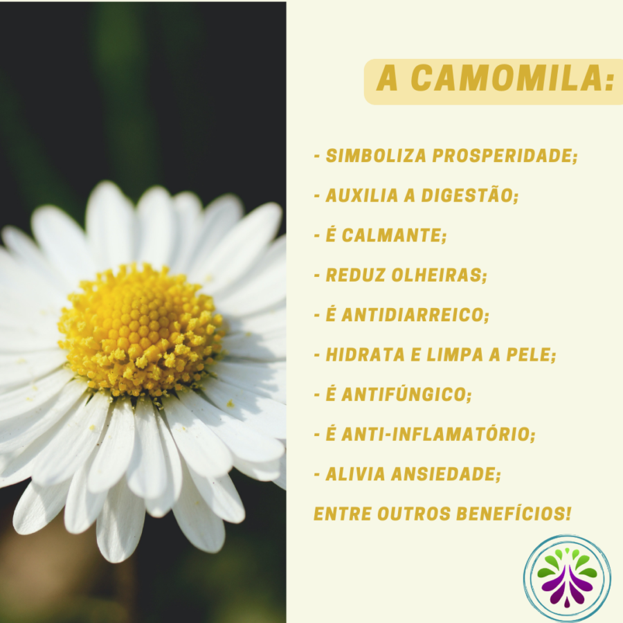 Menstruação Mais Tranquila: Alívio das Cólicas - inspiração 1