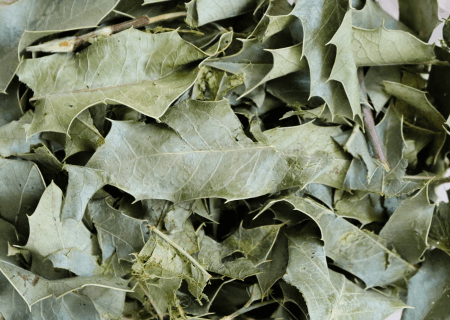 Proteção para o Estômago: Combate a Úlceras e Irritações - inspiração 2