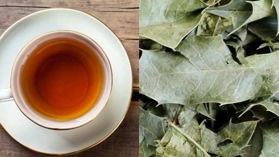 Controle da Glicose: Um Aliado para Sua Saúde - inspiração 1