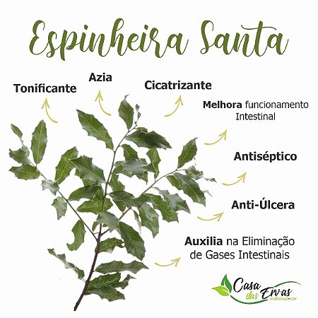 Controle da Glicose: Um Aliado para Sua Saúde - inspiração 2