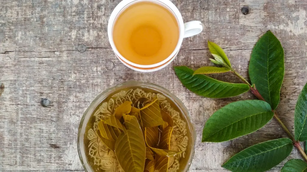 Propriedades Anti-inflamatórias Poderosas - inspiração 1