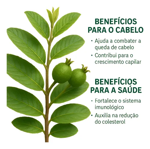 Benefícios Incríveis para a Pele - inspiração 1