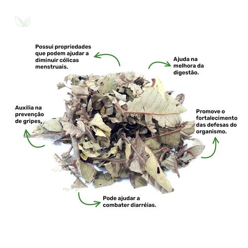 Reforça o Sistema Imunológico Naturalmente - inspiração 2