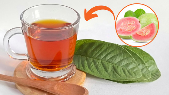 Contribui para a Saúde Bucal - inspiração 2