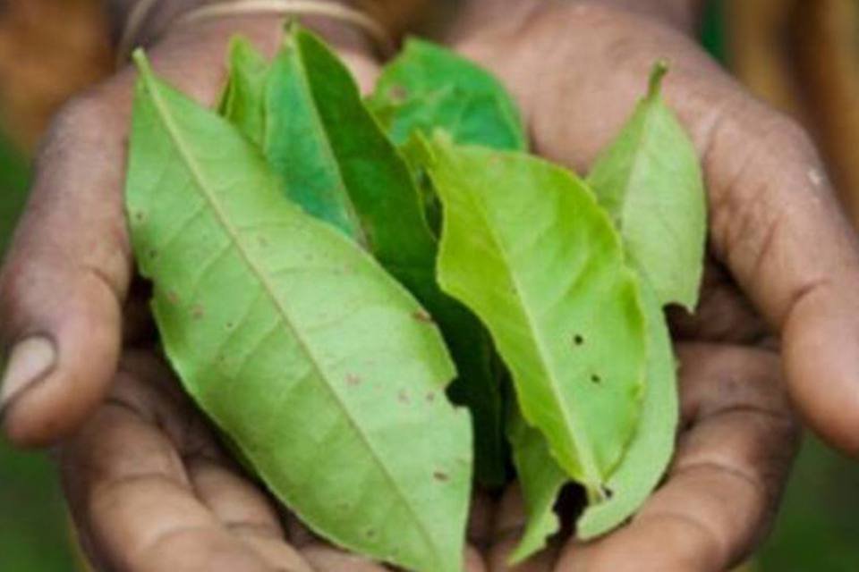 Ação Diurética: Elimine Toxinas com Leveza - inspiração 1